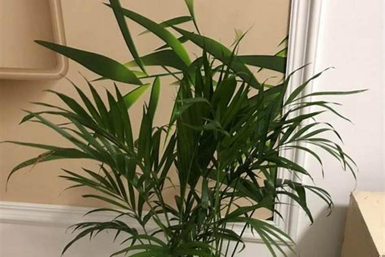 为什么有的人一生运势很差