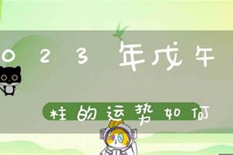 家庭装修用什么木门好