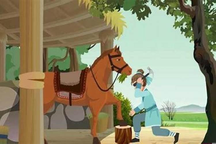 最小的马多少岁