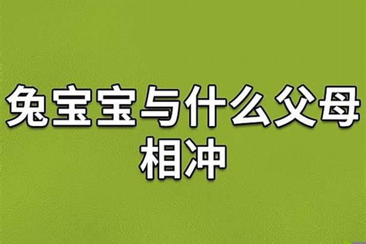 父母属兔龙孩子属牛