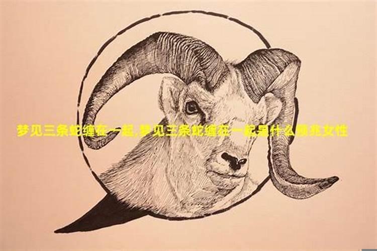 梦见和朋友吃喝