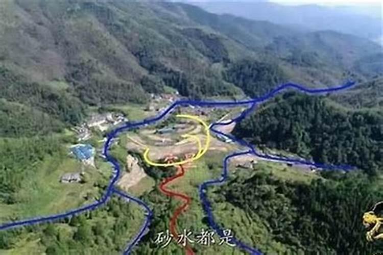 燕子筑巢房子风水