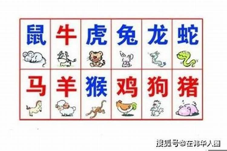 属羊与属牛的婚姻如何