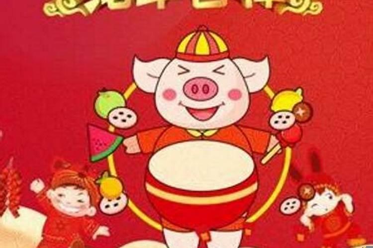 土猪金猪年怎么看