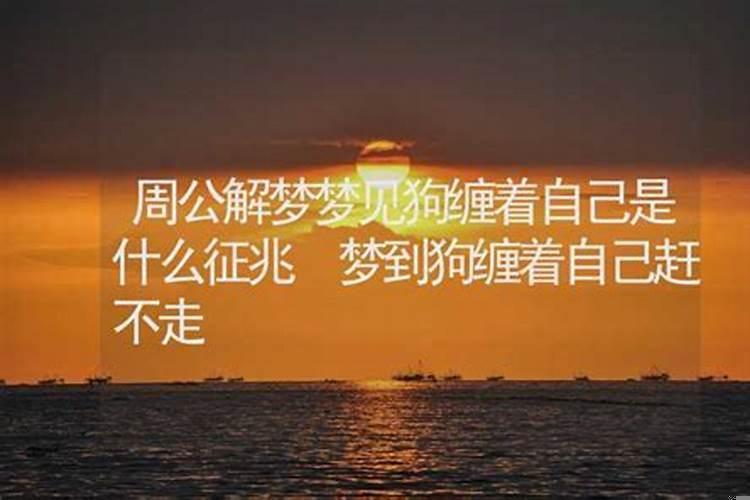 周公解梦梦见小人算计我