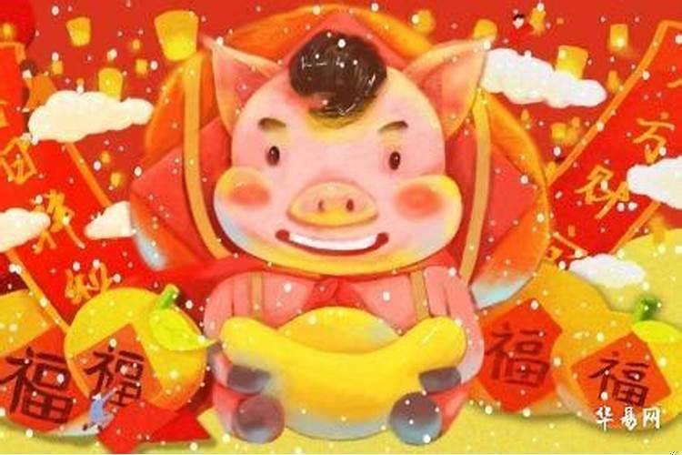 属猪是土命还是木命