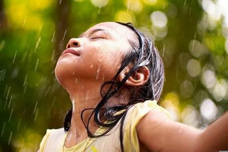 梦见被大雨淋湿头发