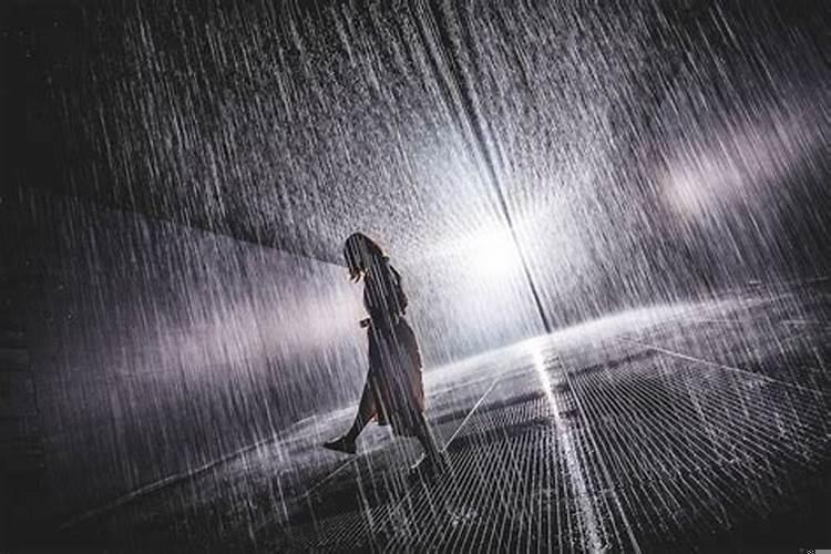 梦见被大雨淋湿头发