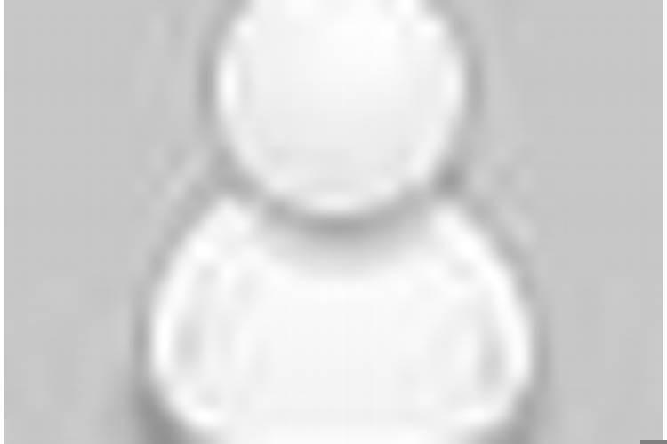 属猪的和什么属相最配姻缘