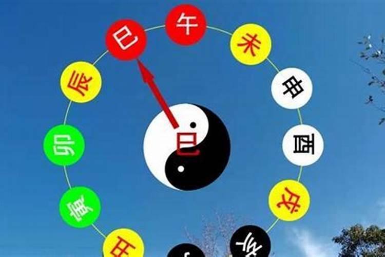 土猪金猪年怎么看