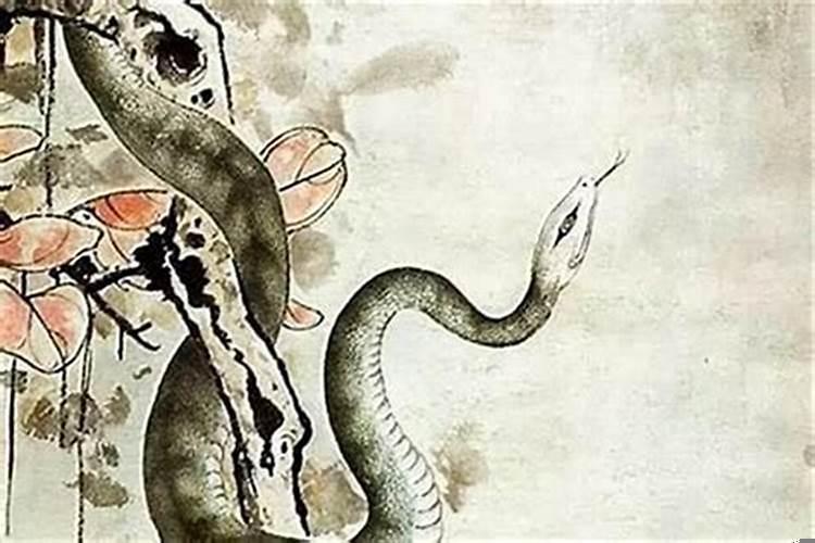 谁是属蛇的贵人