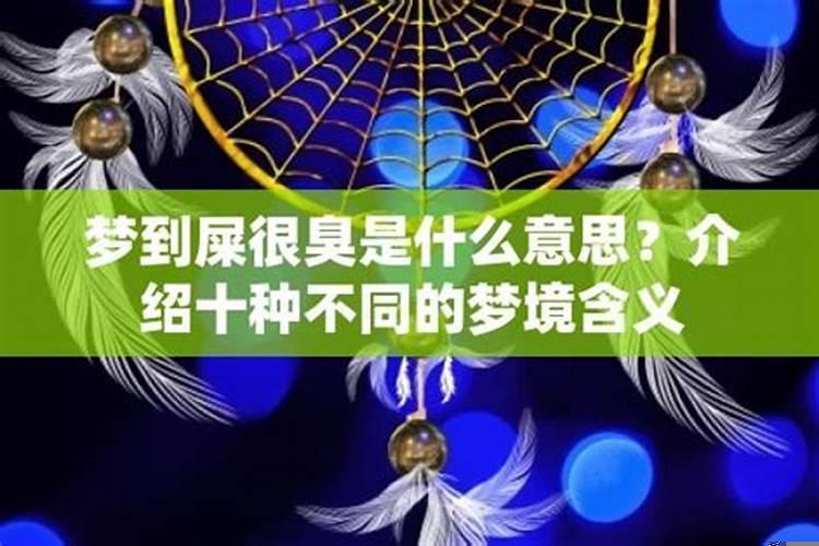24种最常见的梦境