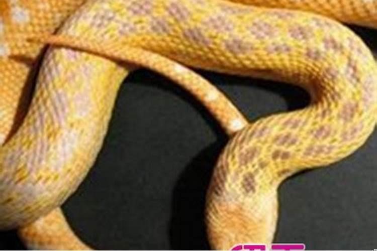 晚上梦见钱是怎么回事