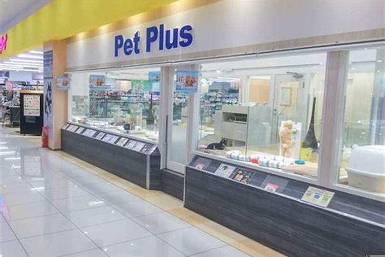 2020年农历10月27日出生