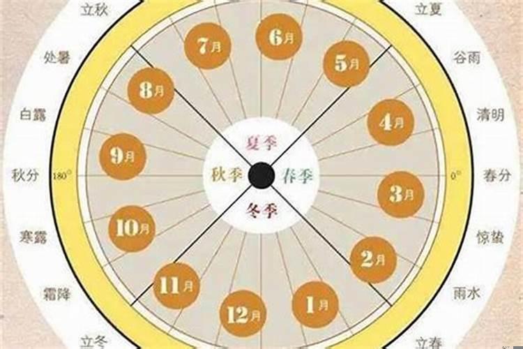 戊子日柱与什么日柱配