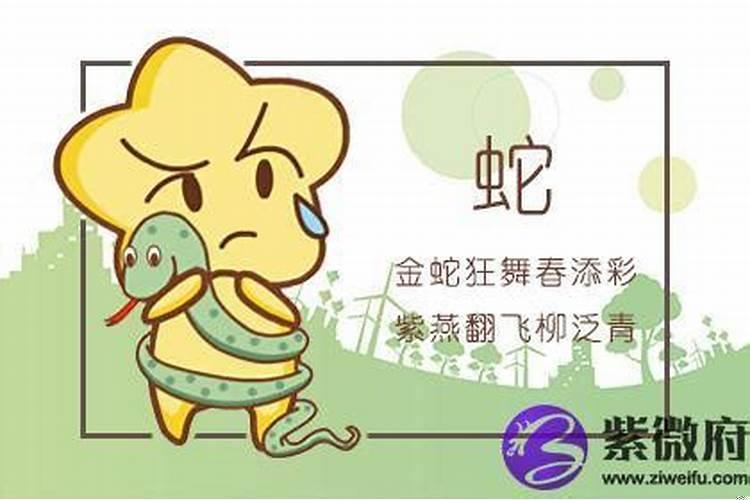 属蛇男什么情况下会离婚