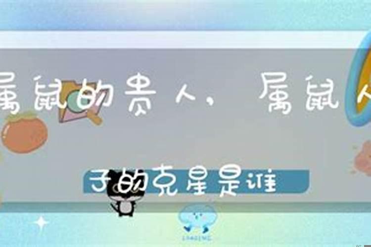 女属鼠的贵人2020