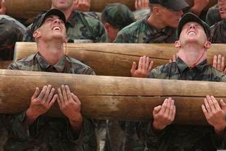 伤官见官和伤官配印