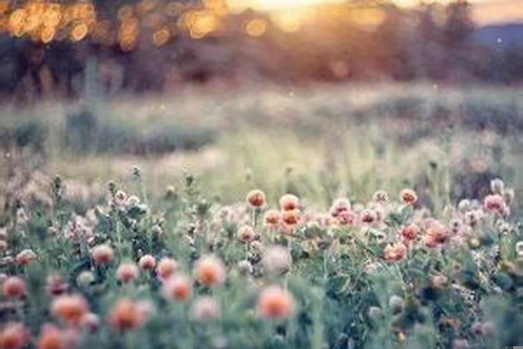 女人结了婚就是外人啊