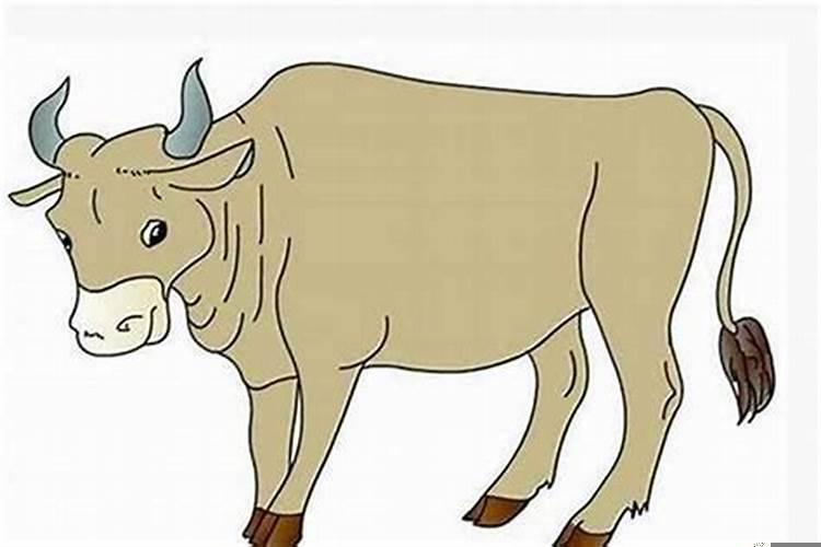 2009年土牛五行缺什么