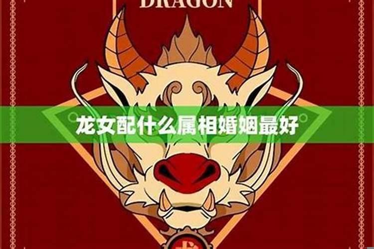 属马男与女龙能不能相配