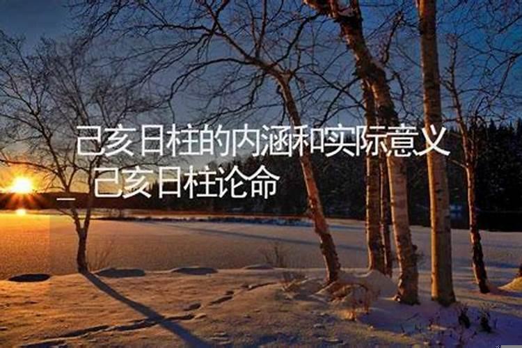 己亥日柱八字忌讳