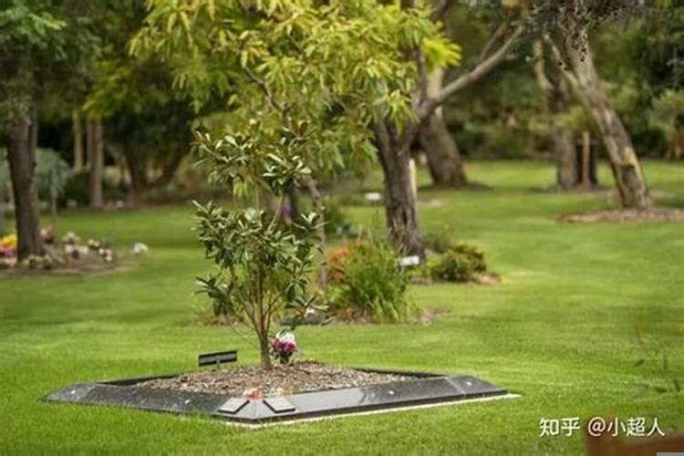 坟前挖坑埋东西