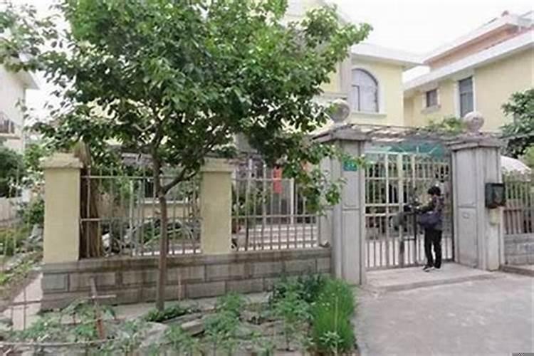 别墅大门口放什么盆栽