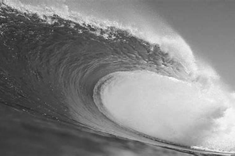 双子座男生o型血性格