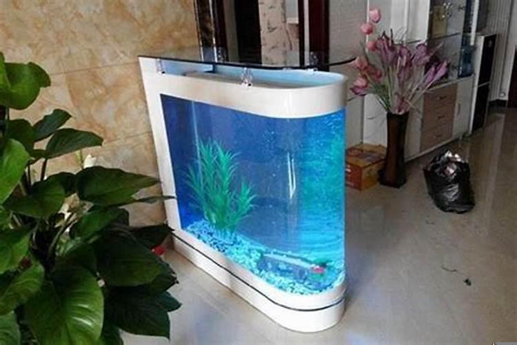 鱼缸能放在窗户下面吗