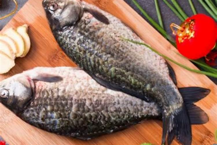 女人梦到活鱼和死鱼是什么征兆