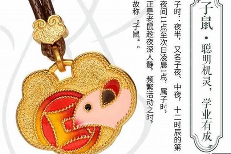 十二生肖代表什么