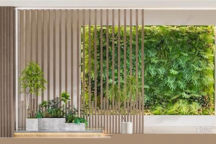 进户门应该摆放什么花