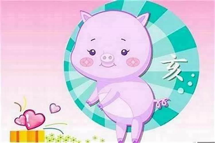 女的属鸡男的属猪生个什么宝宝最好