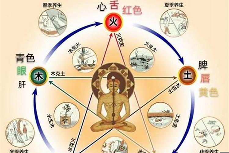 五行属性和五脏的关系是什么