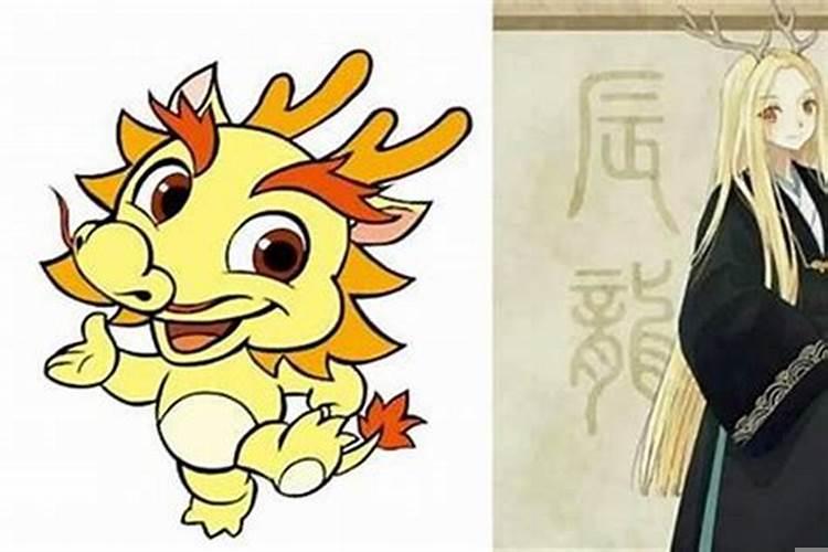 小龙和大龙属相合吗