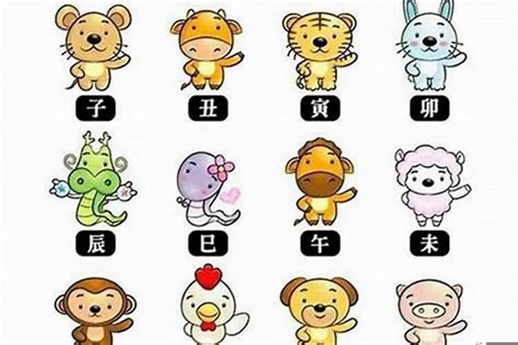 1994年的生肖狗的婚姻及运程