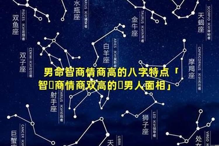 情商智商双高的生肖男