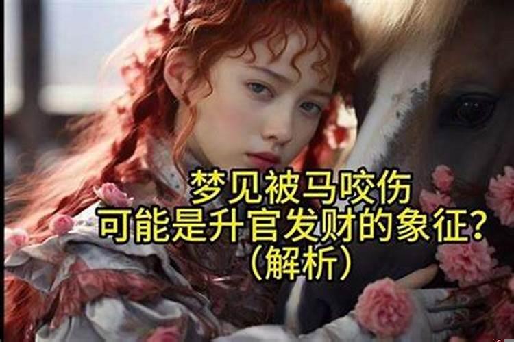 梦见马咬我一口