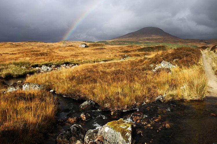 梦见生二胎男孩是什么意思周公解梦