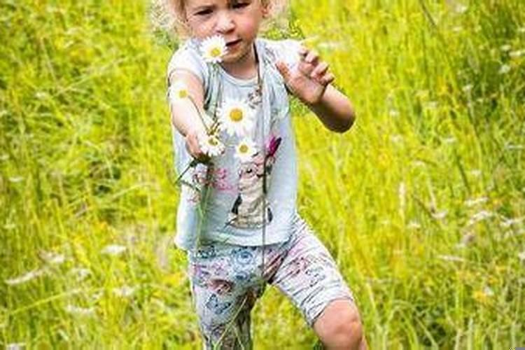 生宝宝日子哪天最好2025