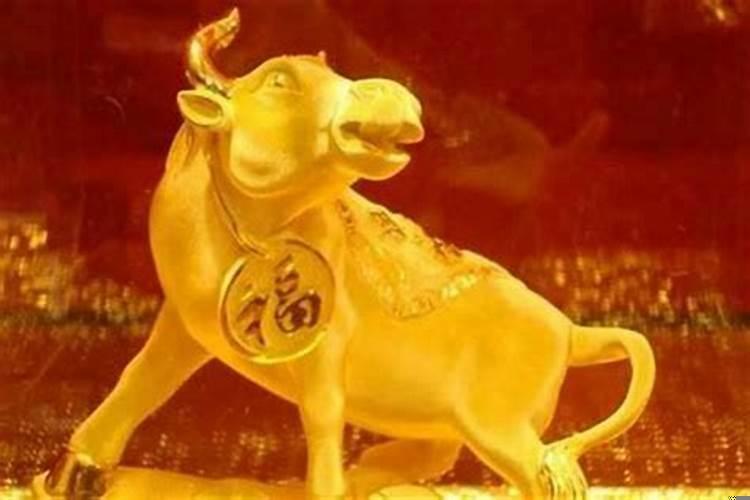 属牛的73年什么命