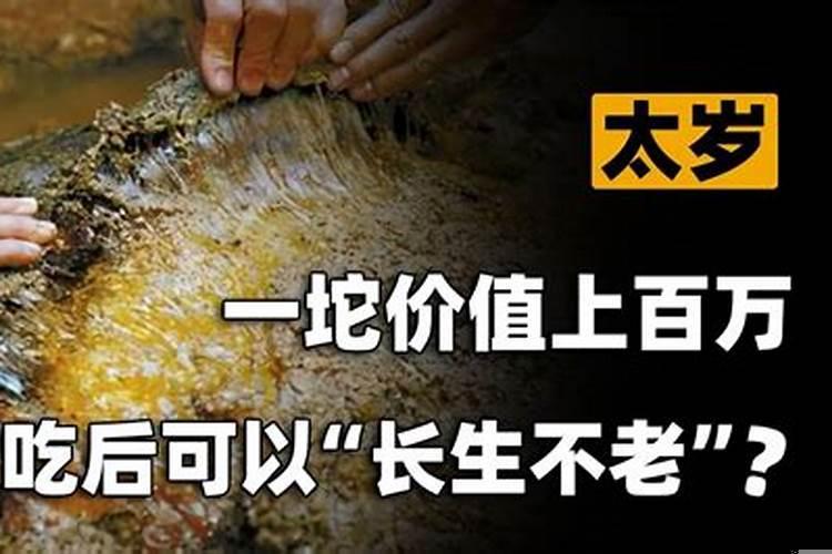 太岁吃了真能长生不老