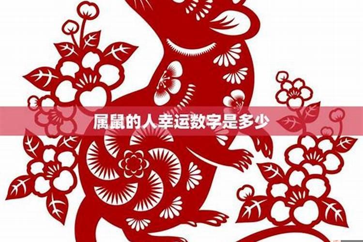 女属鼠的贵人2020