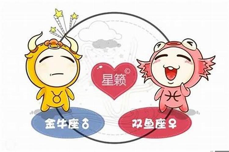 双鱼座与金牛座的配对星座