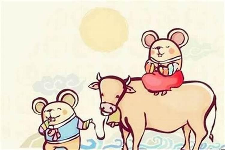 属牛女虎年结婚好不好