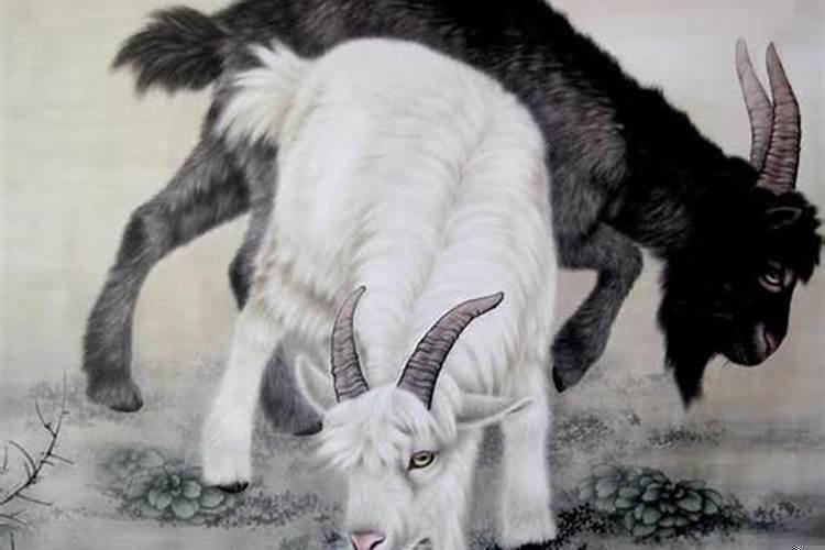 12生肖最穷的是