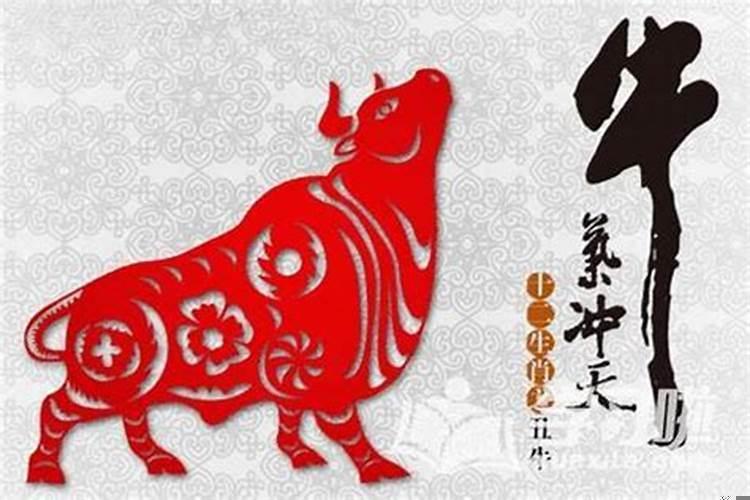 97年属牛女一生命运如何