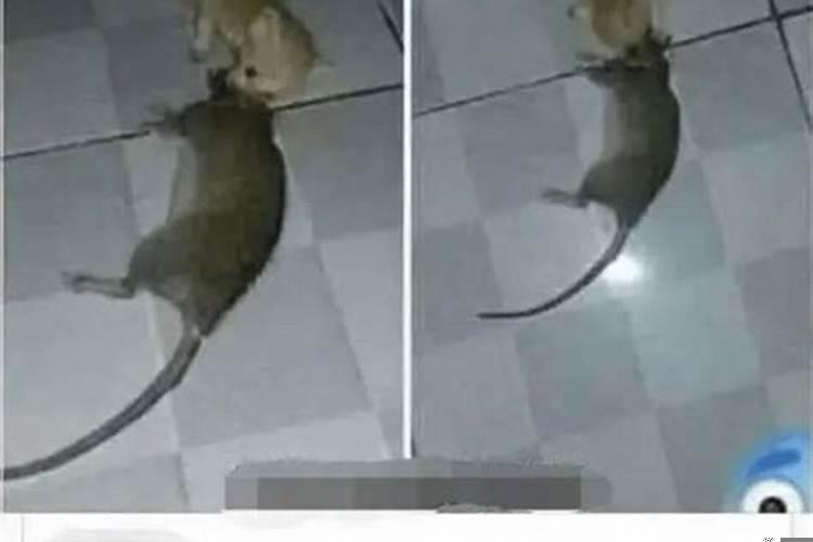 梦见自己要出远门了是什么意思