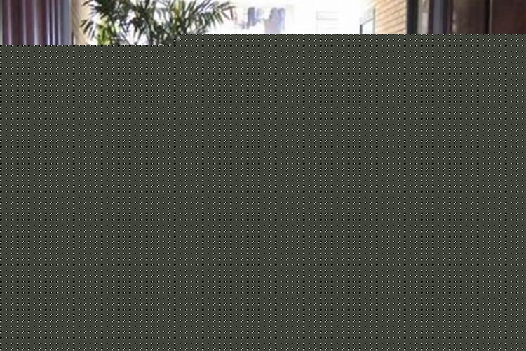 进户门应该摆放什么花